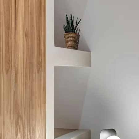 Mule House Ano Siros